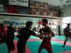 Ronchi 22.01.2012 (25)